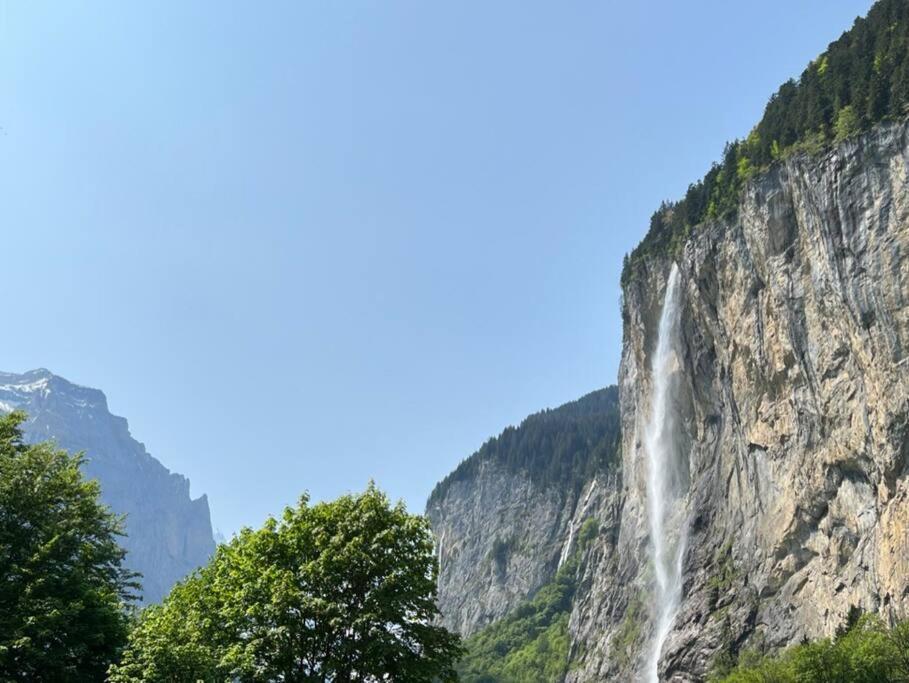 Chalet Maithili Lauterbrunnen -152-Year-Old Majestic Chalet Extérieur photo